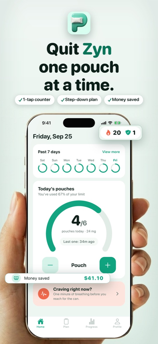 The Pouches app: today's pouch count against your daily limit, with money saved